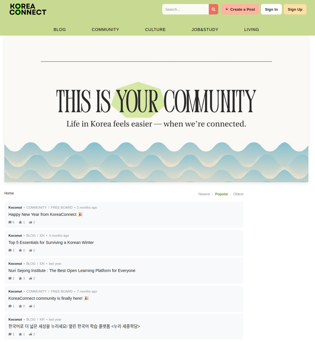KoreaConnect.net screenshot preview